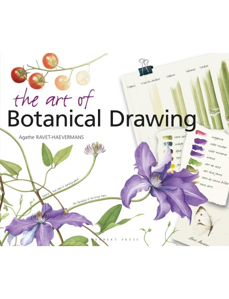 The Art of Botanical Drawing