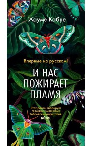 И нас пожирает пламя: роман