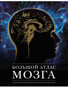 Большой атлас мозга