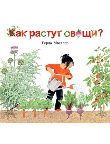 Как растут овощи?