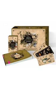 Викканский Оракул Теней. Заклинание Луны, ритуалы Солнца (48 карт + брошюра)