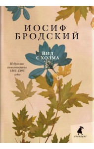 Вид с холма