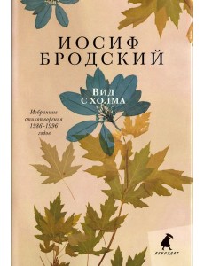 Вид с холма