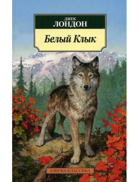 Белый Клык