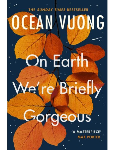 On Earth We're Briefly Gorgeous