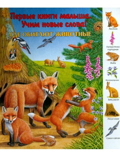 Где обитают животные? Виммельбух