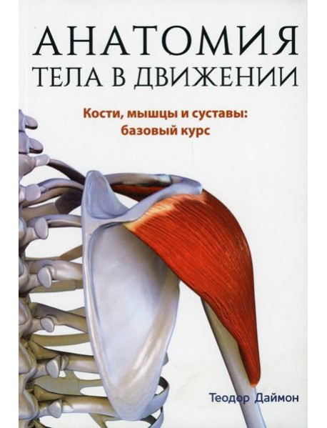 Анатомия тела в движении