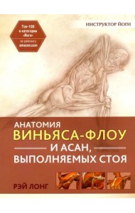 Анатомия виньяса-флоу и асан, выполняемых стоя