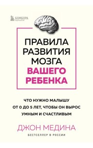 Правила развития мозга вашего ребенка. Что нужно малышу от 0 до 5 лет, чтобы он вырос умным и счастливым