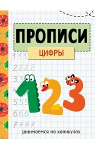 ЗАНИМАЕМСЯ НА КАНИКУЛАХ. ПРОПИСИ. Цифры