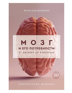 Мозг и его потребности 2.0. От питания до признания