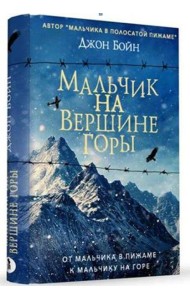 Мальчик на вершине горы: роман