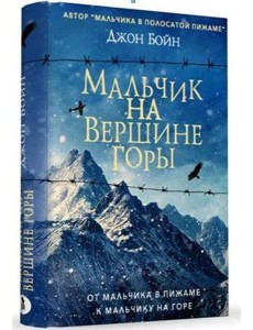 Мальчик на вершине горы: роман