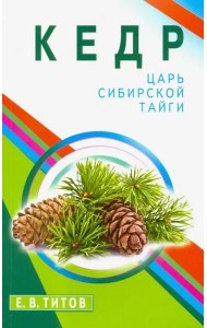 Кедр - царь сибирской тайги