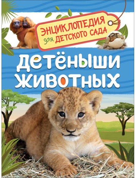 Детеныши животных