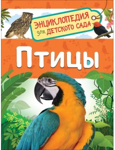 Птицы