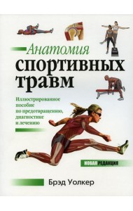 Анатомия спортивных травм