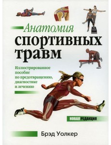 Анатомия спортивных травм