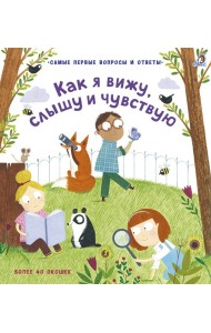 40 окошек. Как я вижу, слышу и чувствую