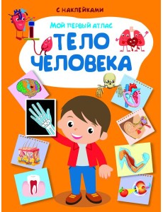 Мой первый атлас. Тело человека