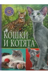 Кошки и котята
