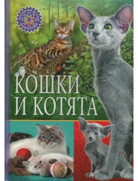 Кошки и котята