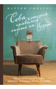 Сова, которой нравилось сидеть на Цезаре