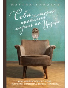 Сова, которой нравилось сидеть на Цезаре Сова, которой нравилось сидеть на Цезаре
