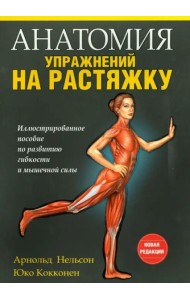 Анатомия упражнений на растяжку