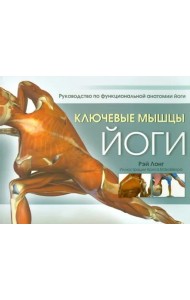 Ключевые мышцы йоги