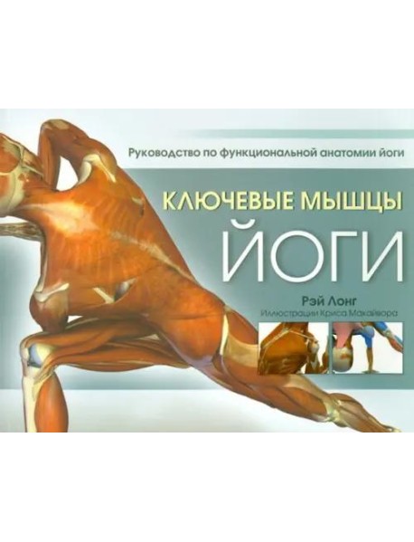 Ключевые мышцы йоги