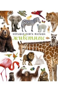 Большая книга малыша. Животные