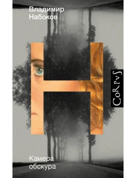 Камера обскура