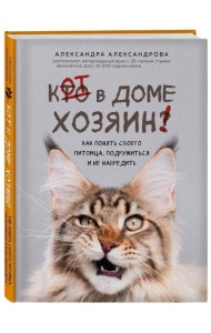 Кот в доме хозяин! Как понять своего питомца, подружиться и не навредить