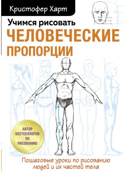 Учимся рисовать человеческие пропорции