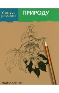 Учитесь рисовать природу