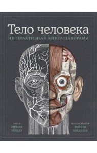 Тело человека. Интерактивная книга-панорама
