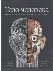 Тело человека. Интерактивная книга-панорама