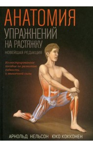 Анатомия упражнений на растяжку