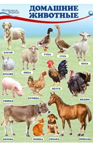 Комплект познавательных мини-плакатов 