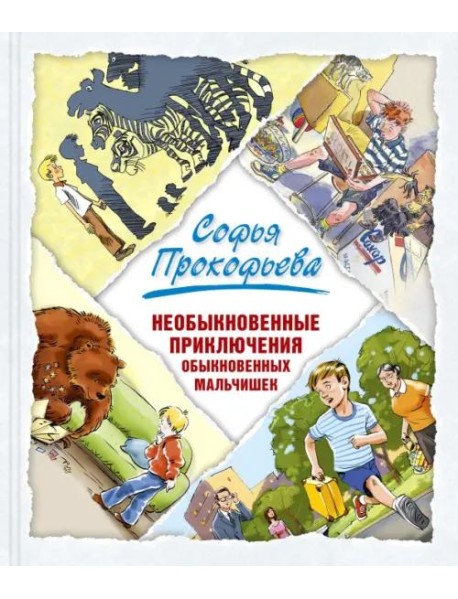 Необыкновенные приключения обыкновенных мальчишек