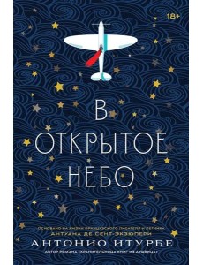 В открытое небо: роман