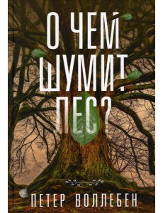 О чем шумит лес? О чем шумит лес?