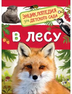 В лесу В лесу