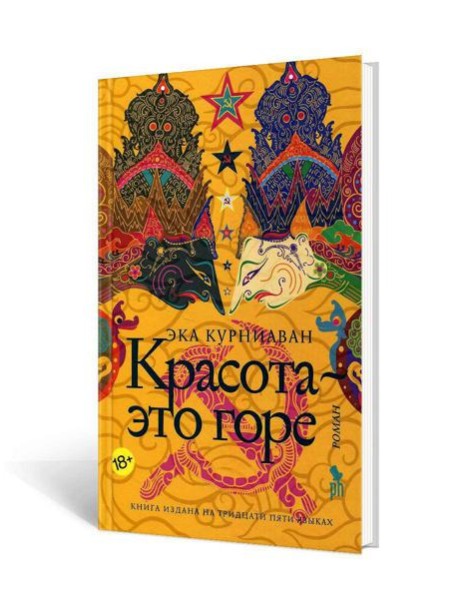 Красота - это горе: роман