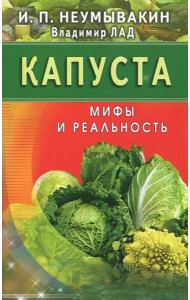 Капуста. Мифы и реальность