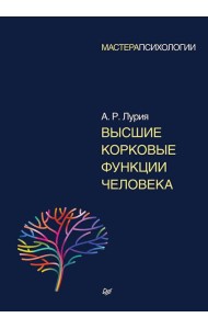 Высшие корковые функции человека
