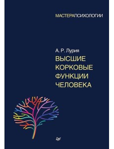 Высшие корковые функции человека