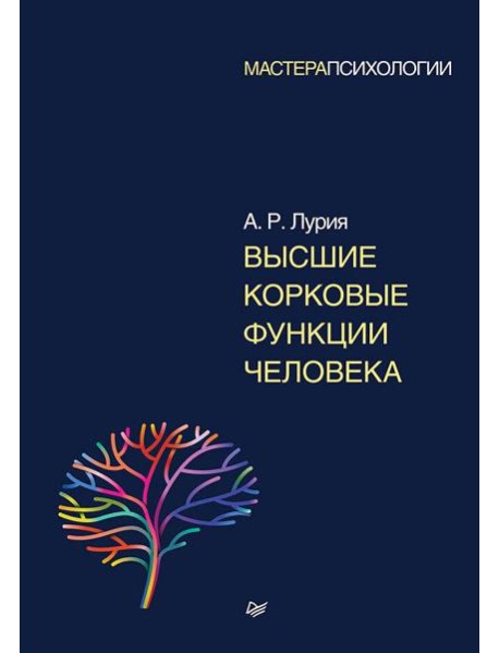 Высшие корковые функции человека