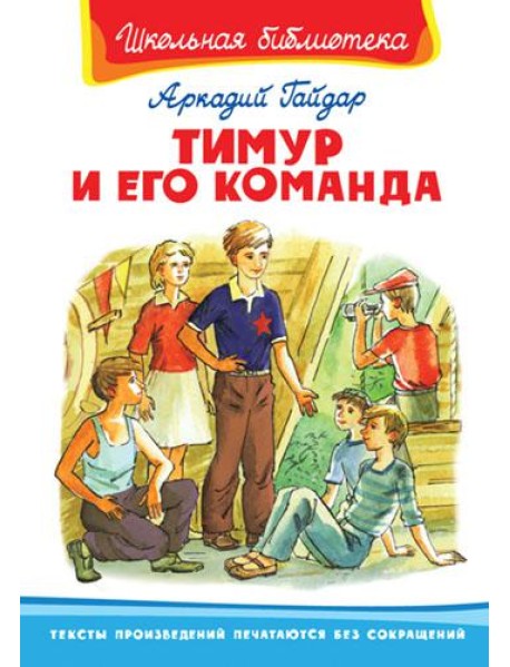 Тимур и его команда